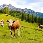 Heimat - Zillertal Apartman