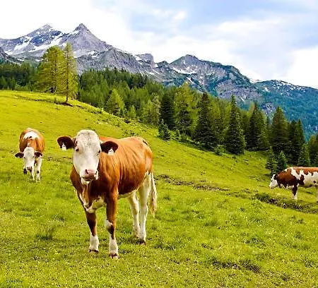 Heimat - Zillertal Apartamento