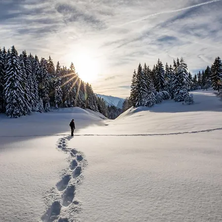 Heimat - Zillertal جيرلوس